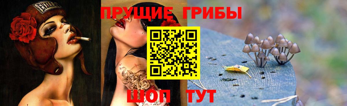 Галлюциногенные грибы мицелий Буйнакск